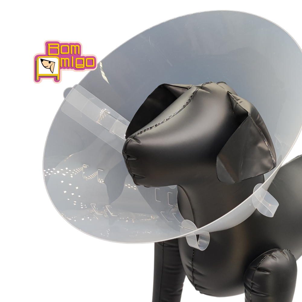 COLAR ELIZABETANO BASIC para pets Bom Amigo